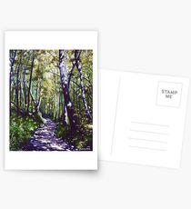 'Summer Woods (Moses Cone State Park, NC)' Postcards