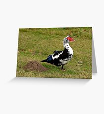 Stay Away From My Anthill Greeting Card