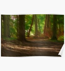 Enchanted Woods Poster