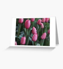 Field of Tulip Dreams Greeting Card