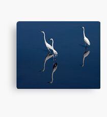 Egret Triple Canvas Print