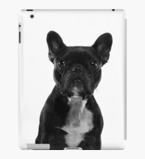 Vinilo o funda para iPad Sushi The Little French Bulldog Portrait