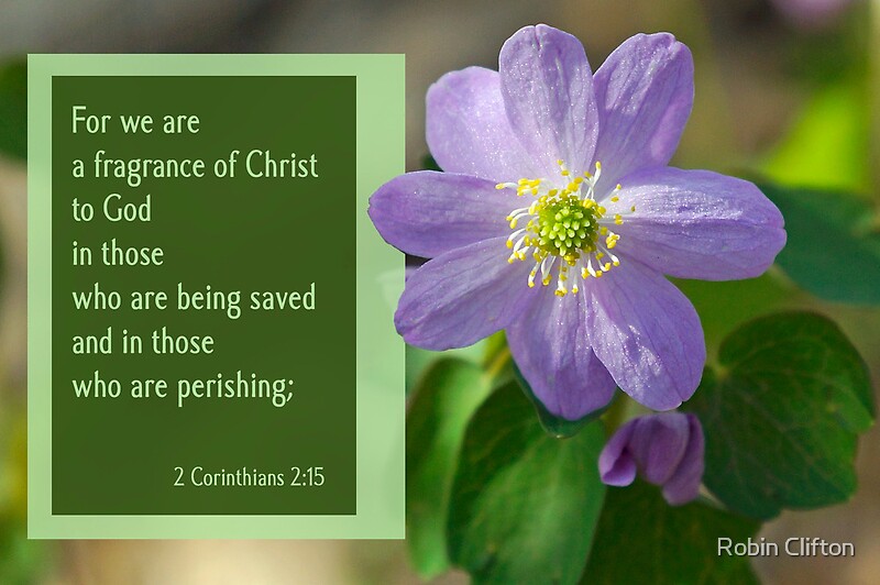 Fragrance Of Christ 2 Corinthians 215 Art Print