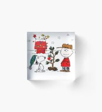 Snoopy and Charlie Brown Acrylic Block