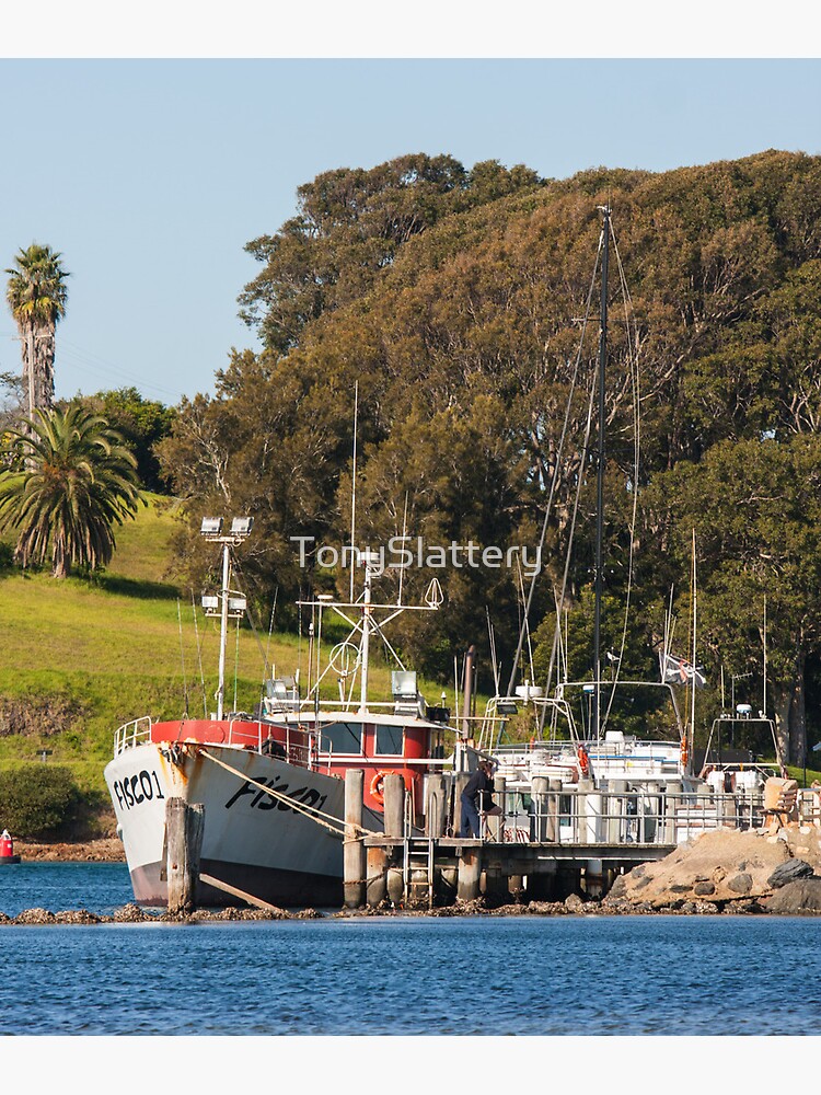 Jetty on Bluewater Drive, Narooma by TonySlattery