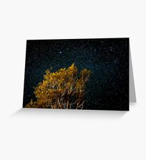 Under the stars Greeting Card