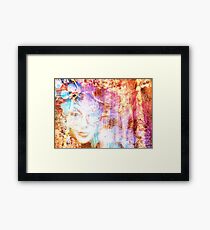 Painted Pebbles Framed Print