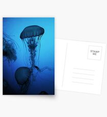 Portrait of a Jellyfish- Blue Postcards