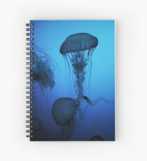 Portrait of a Jellyfish- Blue Spiral Notebook