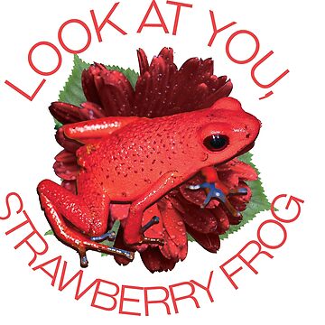 Strawberry Frog Sticker Cute Frog Sticker Look at You 