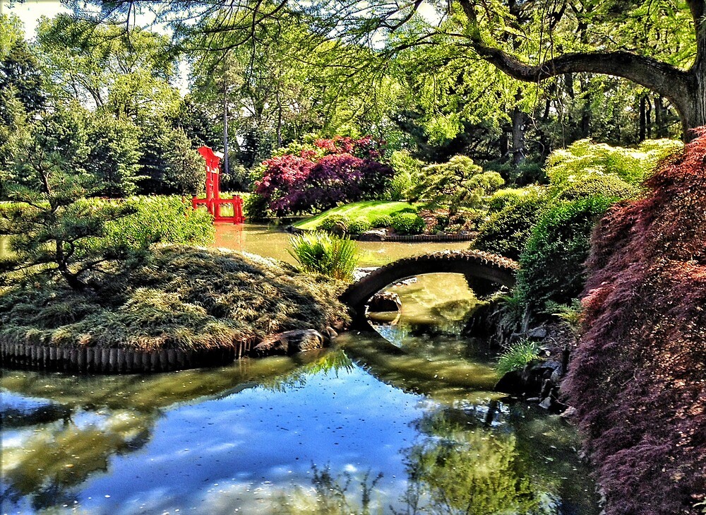 "Japanese tea garden, Bontanical Gardens, Brooklyn, New York" by