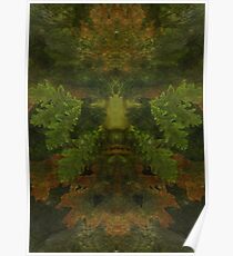 the green man Poster