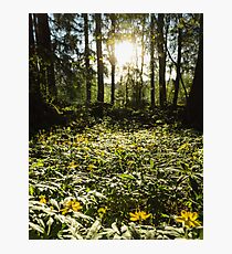 Receivers Photographic Print