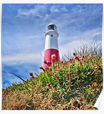 Portland Bill Flowers Poster