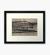 Honey Fungus Framed Print