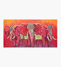 The Universal Indian Elephants, #69 Photographic Print