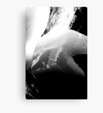 Moray Canvas Print