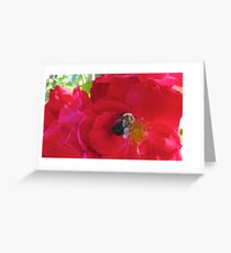 Appetizer Greeting Card