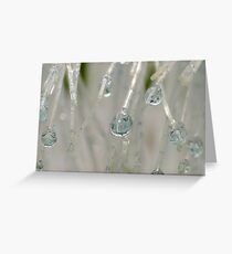 H20 Super Macro Greeting Card