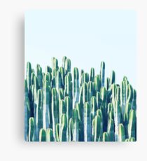 Cactus V2 #redbubble #home #lifestyle #buyart #decor Canvas Print