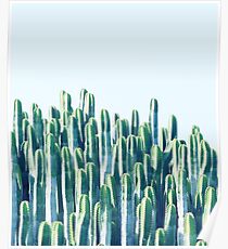 Cactus V2 #redbubble #home #lifestyle #buyart #decor Poster