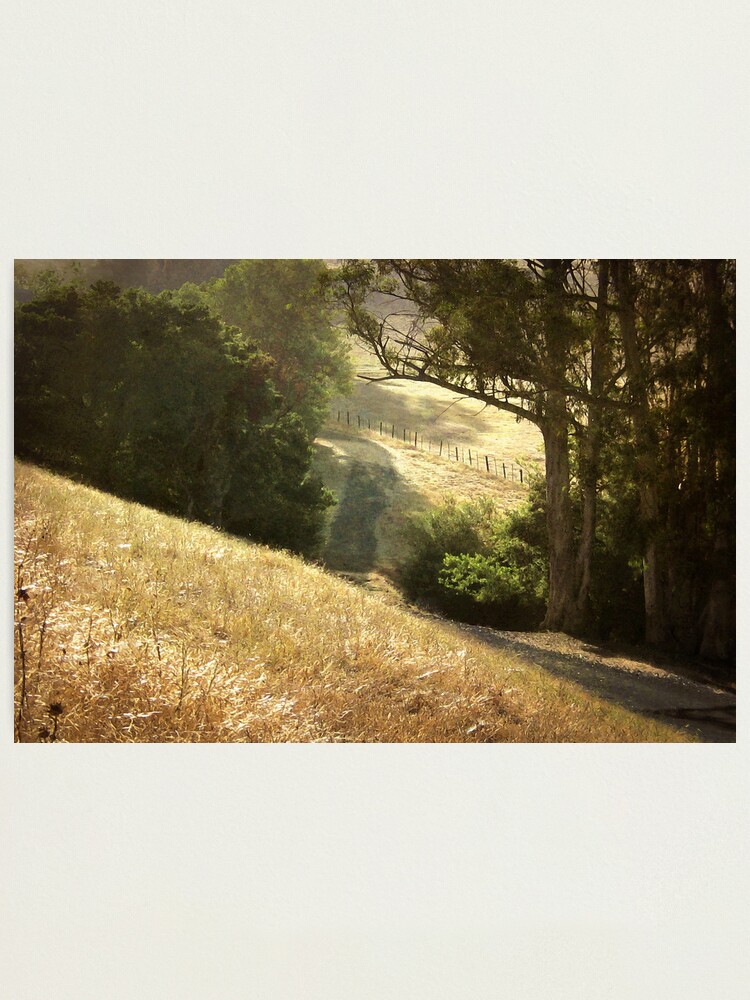 Alternate view of Along the Path Photographic Print