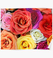Roses in Style Poster