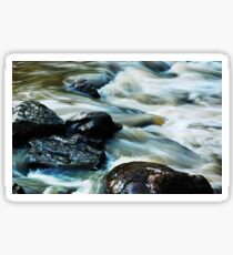The Salmon Stream Sticker