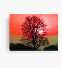 Red Sky at Night Canvas Print