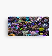 The Great Barrier Reef Canvas Print