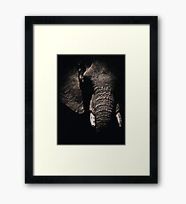 African Elephant Framed Print