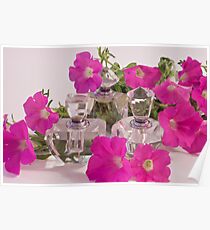 Petunias And Perfume Poster