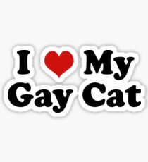 I Love My Gay Cat Sticker