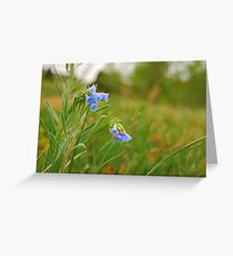 Red, Blue, and Green Greeting Card