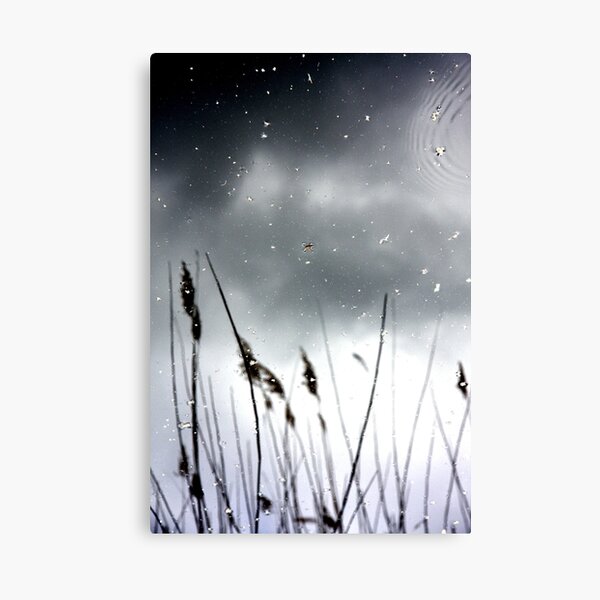 Fenland Canvas Print