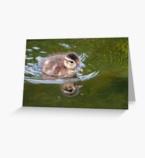 The Not So Ugling Duckling Greeting Card