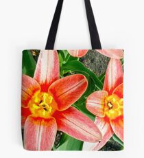 Two alike Tote Bag