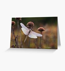 Dragonfly Greeting Card