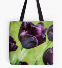 Queen of the Night Tulips Tote Bag