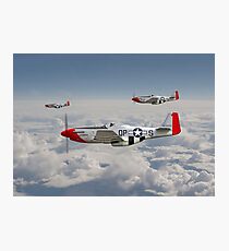 P51 Mustang - 334th Fighting Eagles Photographic Print