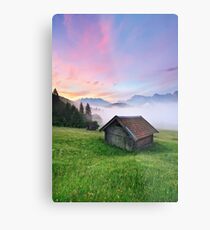 Awakening Metal Print