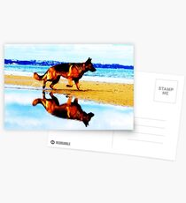 German Shepherd Postcards