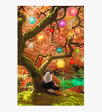 Best Friends Forever Photographic Print