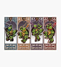 Ninja Masters Photographic Print