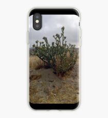 Cactus at Dawn iPhone Case