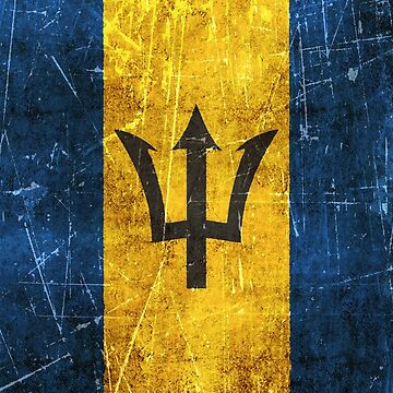 Vintage Aged and Scratched Barbados Flag Samsung Galaxy Phone Case for  Sale by jeff bartels