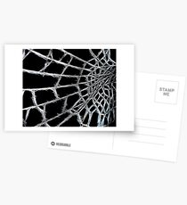 natures abstracts Postcards