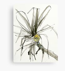 pandanus fruit Metal Print