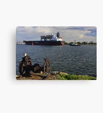 HOOTER'S TRAVELS # 4 Canvas Print