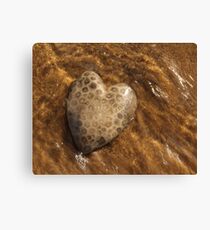 Petoskey Stone Canvas Print
